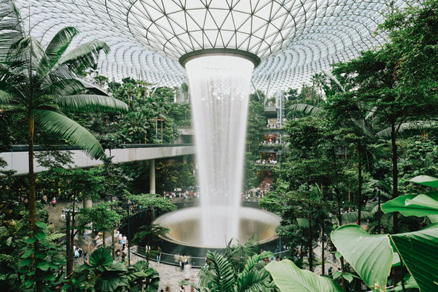 Banner image for: <h2>Rooted in Singapore</h2>